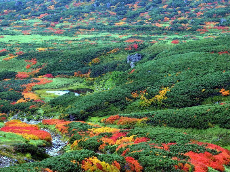 Asahidake Yumoto Yukomanso Higashikawa Esterno foto